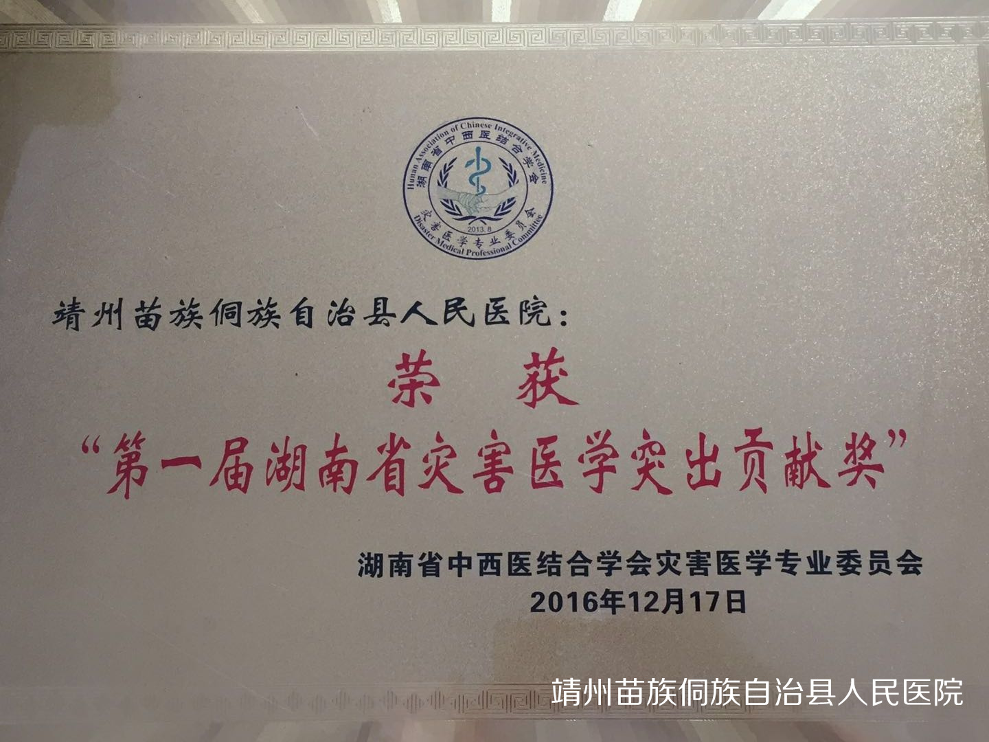 第一届湖南省灾害医学突出贡献奖