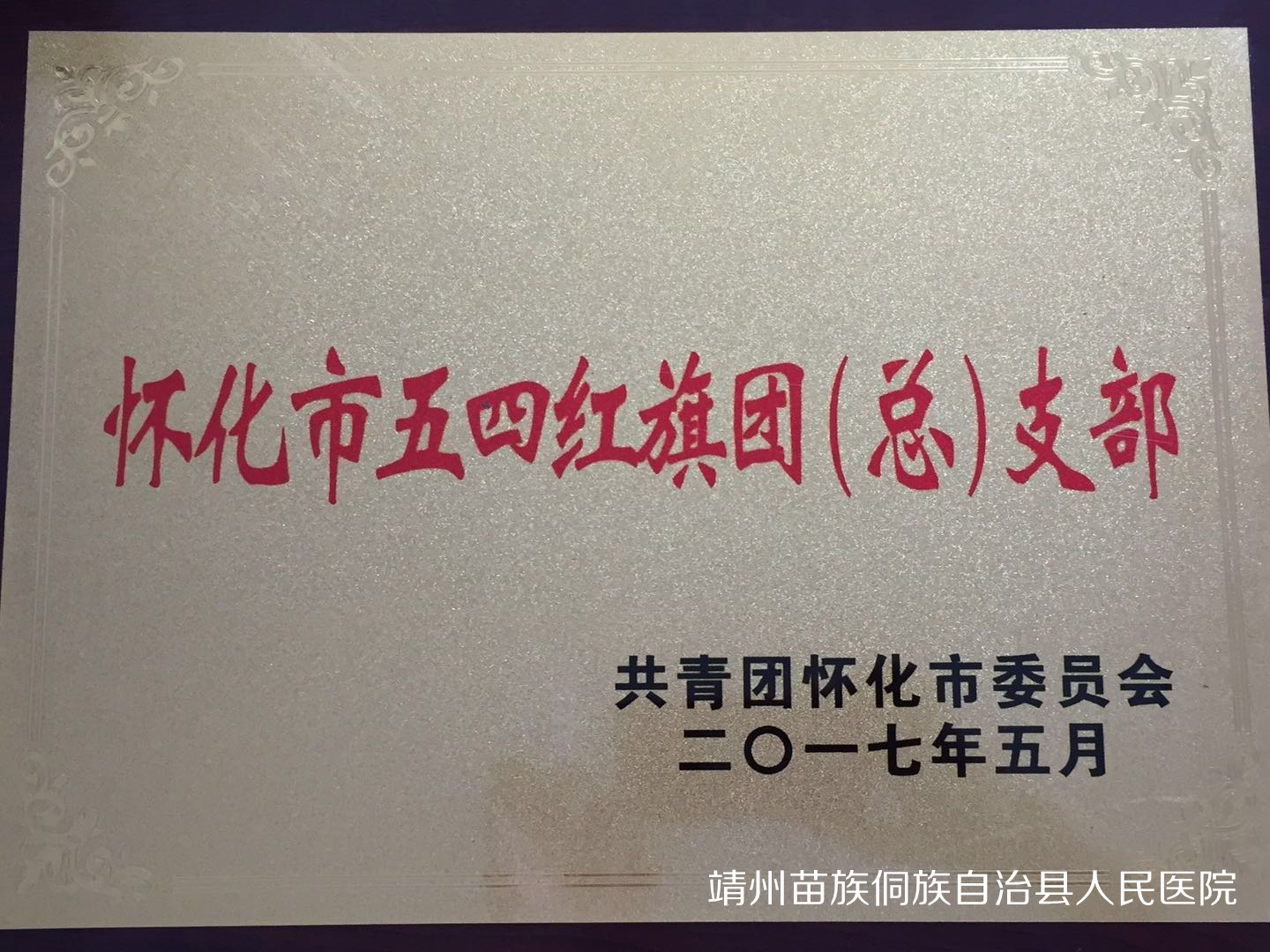 怀化市五四红旗团（部支部）